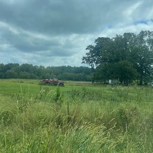 Meet your Posher, Daisy